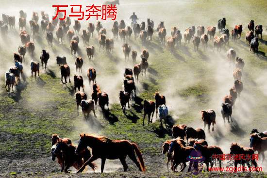 有益于桃花開運的家居風水擺設(圖文)