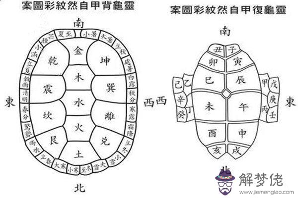 居家養龜的風水講究