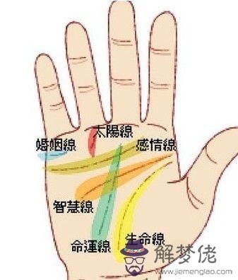 手掌上的太陽線怎麼看富貴程度？什麼是太陽線？(圖文)