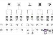 生辰八字陰陽查詢