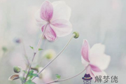 2017年4月3日是什麼節日