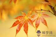 2017年10月21日是什麼節日