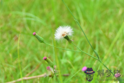 2019年立夏是幾月幾日