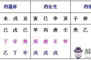 小技巧帶你認識十二地支藏干