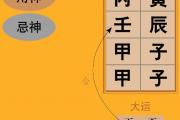 《淵海子平》論子遙巳格的取用與行運