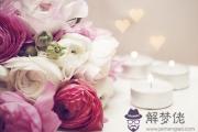 2014下半年誰可能結婚