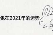 1975女兔在2021年的運勢運程詳解分析