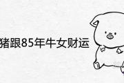 83年男豬跟85年牛女財運如何