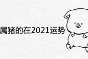 1971年屬豬的在2021年的運勢