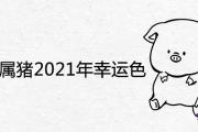 1971年屬豬2021年幸運色