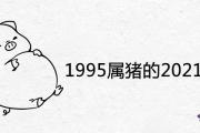 1995屬豬的2021年運勢怎麼樣