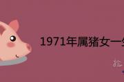 1971年屬豬女一生運程如何