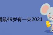 72年屬鼠49歲有一災2021 全年運勢運程如何