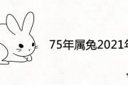 75年屬兔2021年運勢及運程男