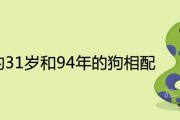 屬蛇的31歲和94年的狗相配合適嗎