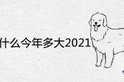 94年屬什麼今年多大2021