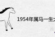 1954年屬馬一生大劫在什麼時候