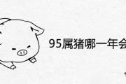 95屬豬哪一年會動婚