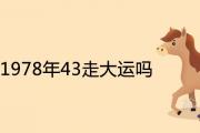 屬馬1978年43走大運嗎 2021年運勢運程如何