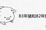 83年豬和82年狗姻緣好不好