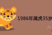 1986年屬虎35歲以后命運好不好