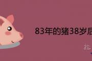 83年的豬38歲后命好 2021年運勢詳解