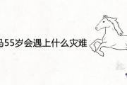 66年屬馬55歲會遇上什麼災難 2021年全年命運如何