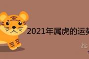 2021年屬虎的運勢和財運詳解