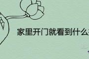 家里開門就看到什麼擺件最好