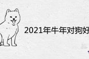 2021年牛年對狗好不好 屬狗流年運勢運程詳解