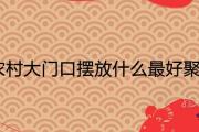 農村大門口擺放什麼最好聚財又鎮宅