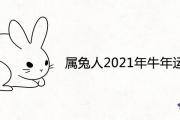 屬兔人2021年牛年運勢運程