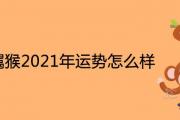 92年屬猴2021年運勢怎麼樣