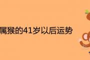 1980屬猴的41歲以后運勢運程詳解