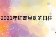 2021年紅鸞星動的日柱 會遇到正緣的人是誰