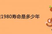 屬猴1980壽命是多少年 41歲有一災是真的嗎