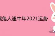 1975屬兔人逢牛年2021運勢如何