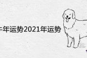 屬狗在牛年運勢2021年運勢詳解