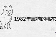 1982年屬狗的桃花劫是誰