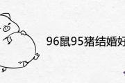 96鼠95豬結婚好不好