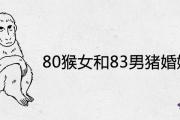 80猴女和83男豬婚姻財運