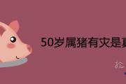 50歲屬豬有災是真的嗎 2021年全年運勢詳解