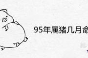 95年屬豬幾月命不好 命苦的出生月份