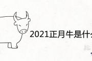 2021正月牛是什麼命運