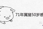 71年屬豬50歲感情方面2020年詳解