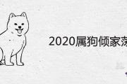 2020屬狗傾家蕩產是真的嗎 下半年運程如何