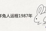 2020年兔人運程1987年 下半年運勢詳解