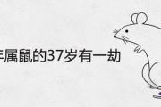 1984年屬鼠的37歲有一劫是真的嗎 2021年運程詳解