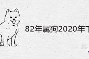 82年屬狗2020年下半年運勢如何