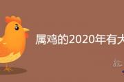 屬雞的2020年有大災嗎 下半年運勢運程詳解